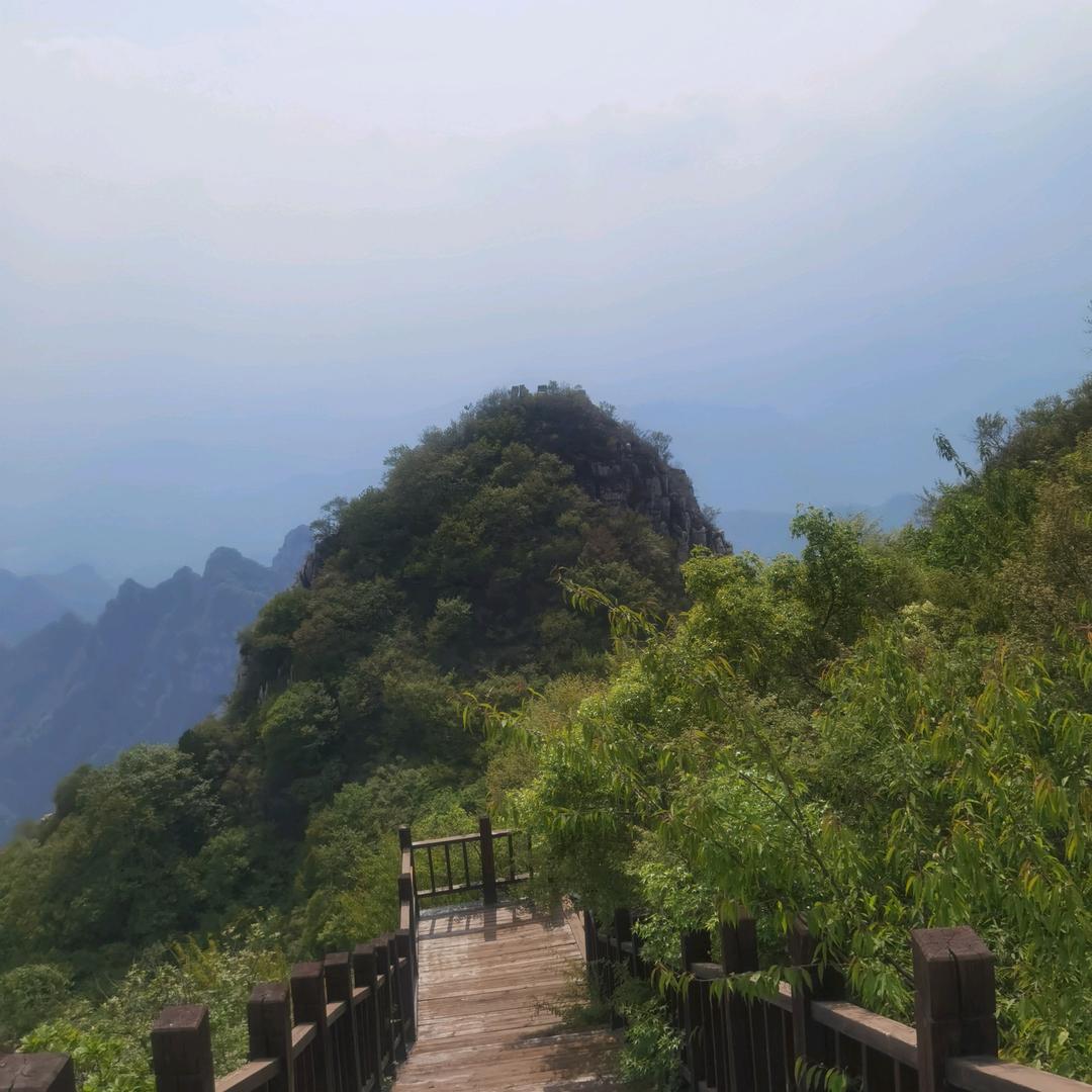 木心土