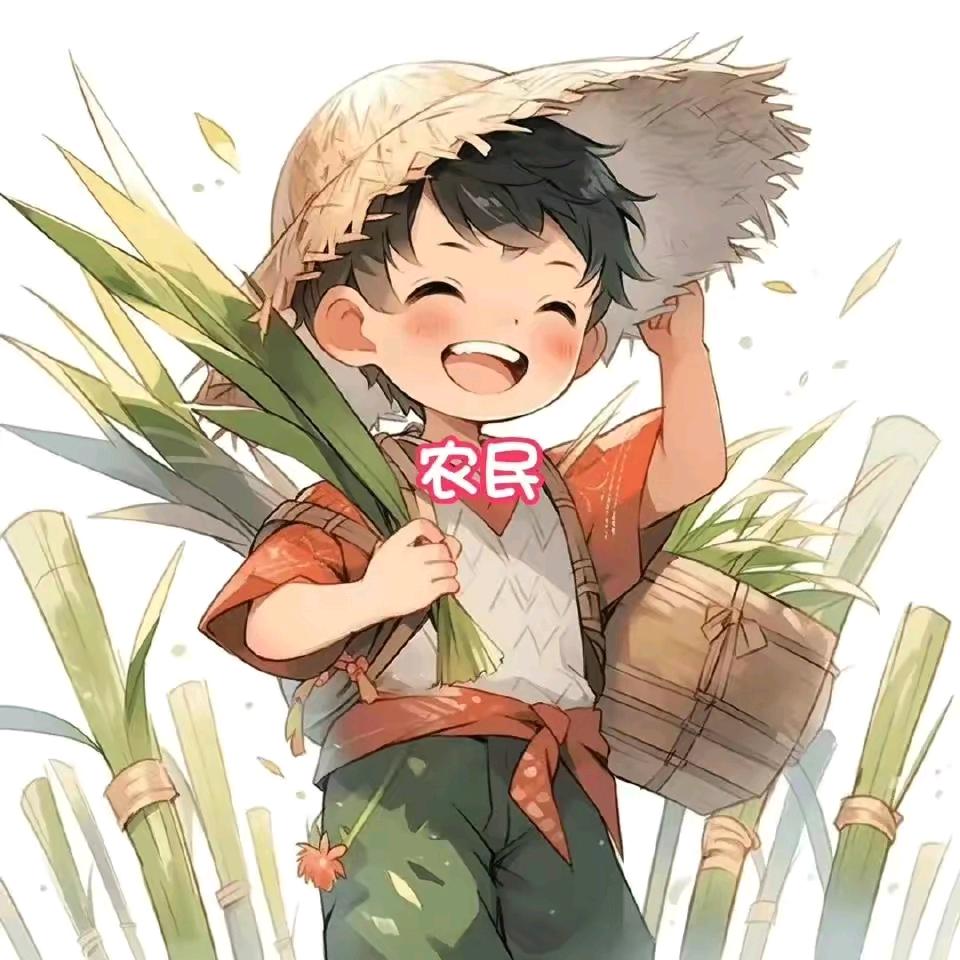 马先生