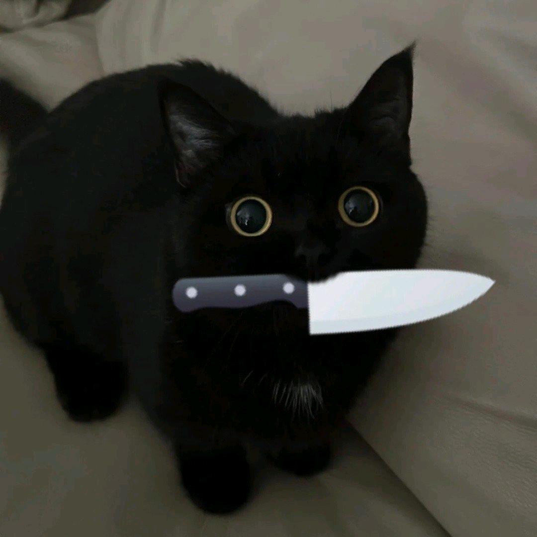 †·我的葬禮†·