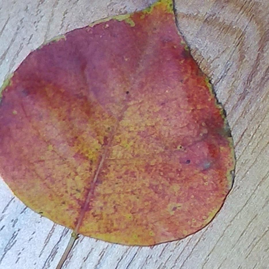 👏👏(˵¯͒〰¯͒˵)✊😋