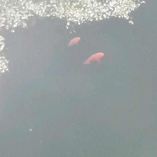 我们好像在哪见过