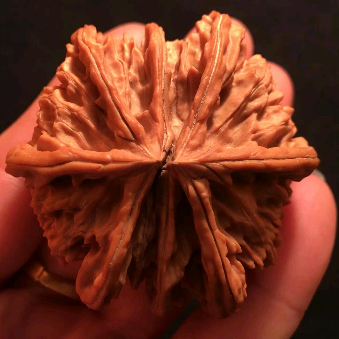 王者胡闹