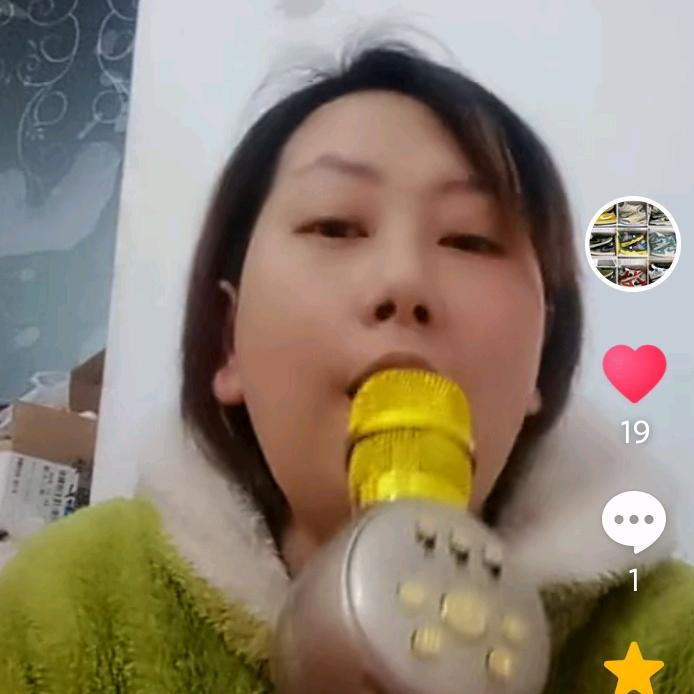 只羡鸳鸯不羡仙1991