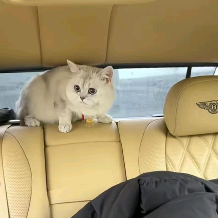 ♛★♥林霖雨♥★♛