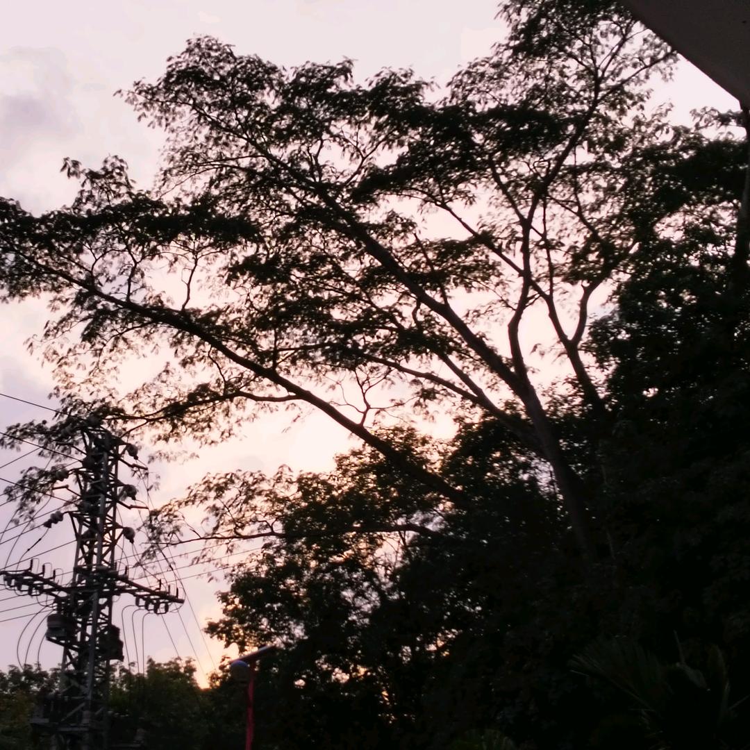 青春永驻