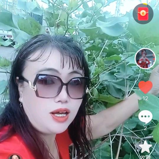 金宝666🌹🌹