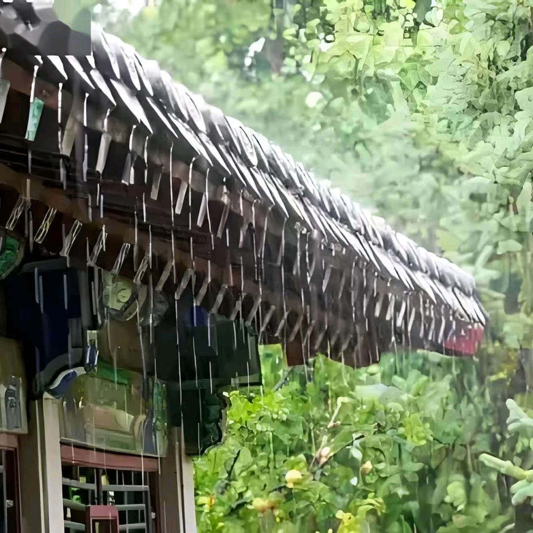 听雨