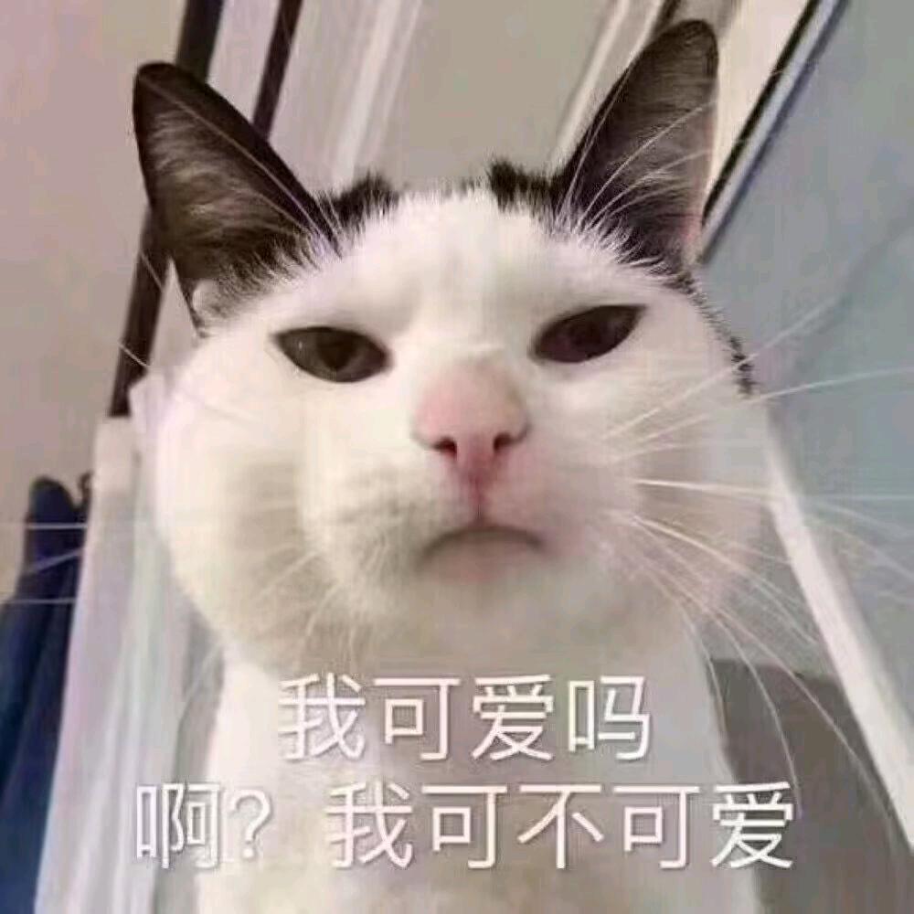 吃了几斤了金币🌈