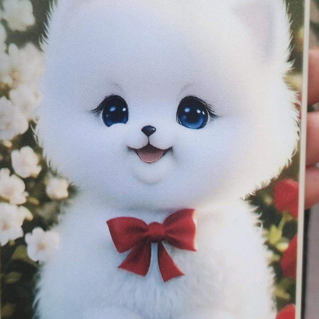 熊熊