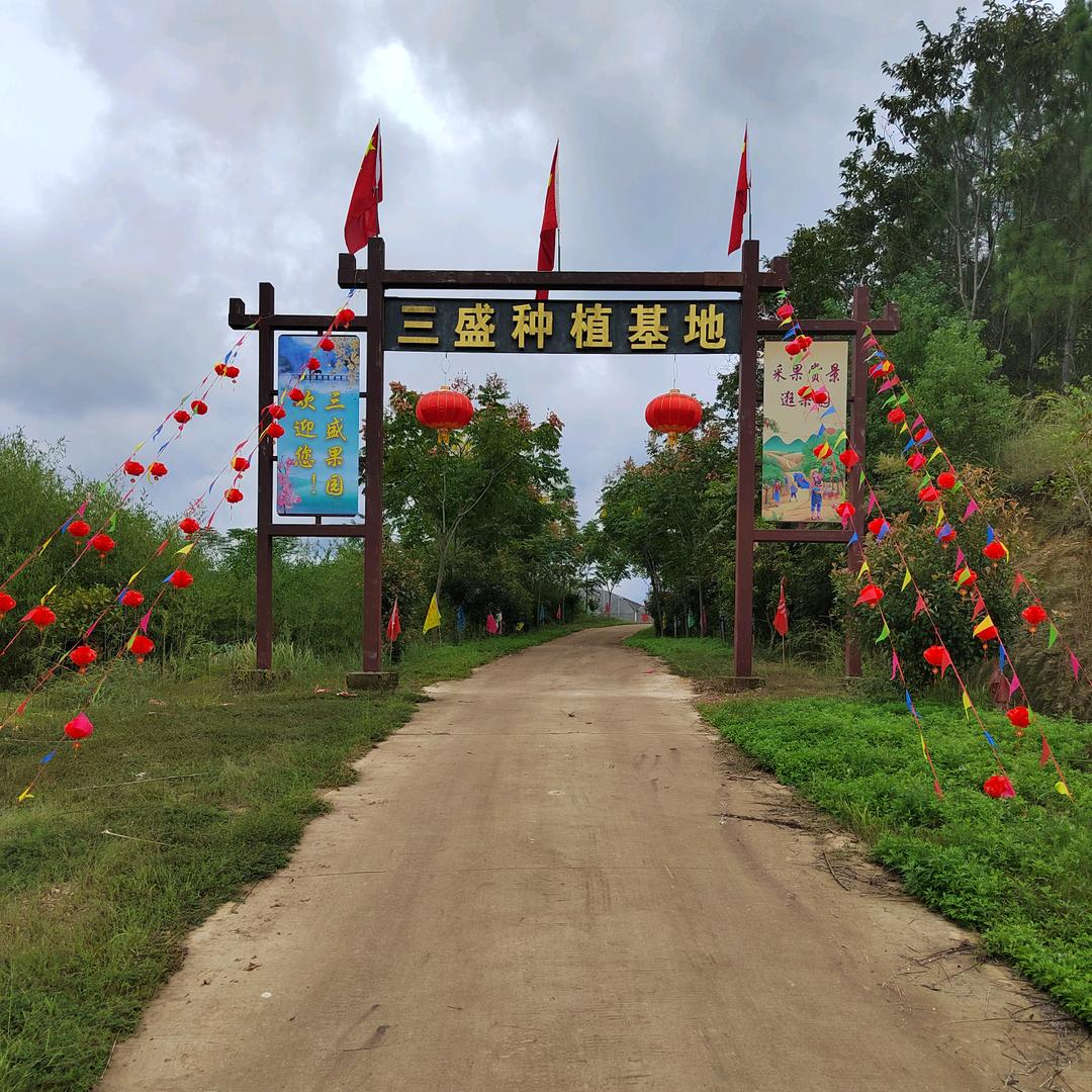 三盛种植基地