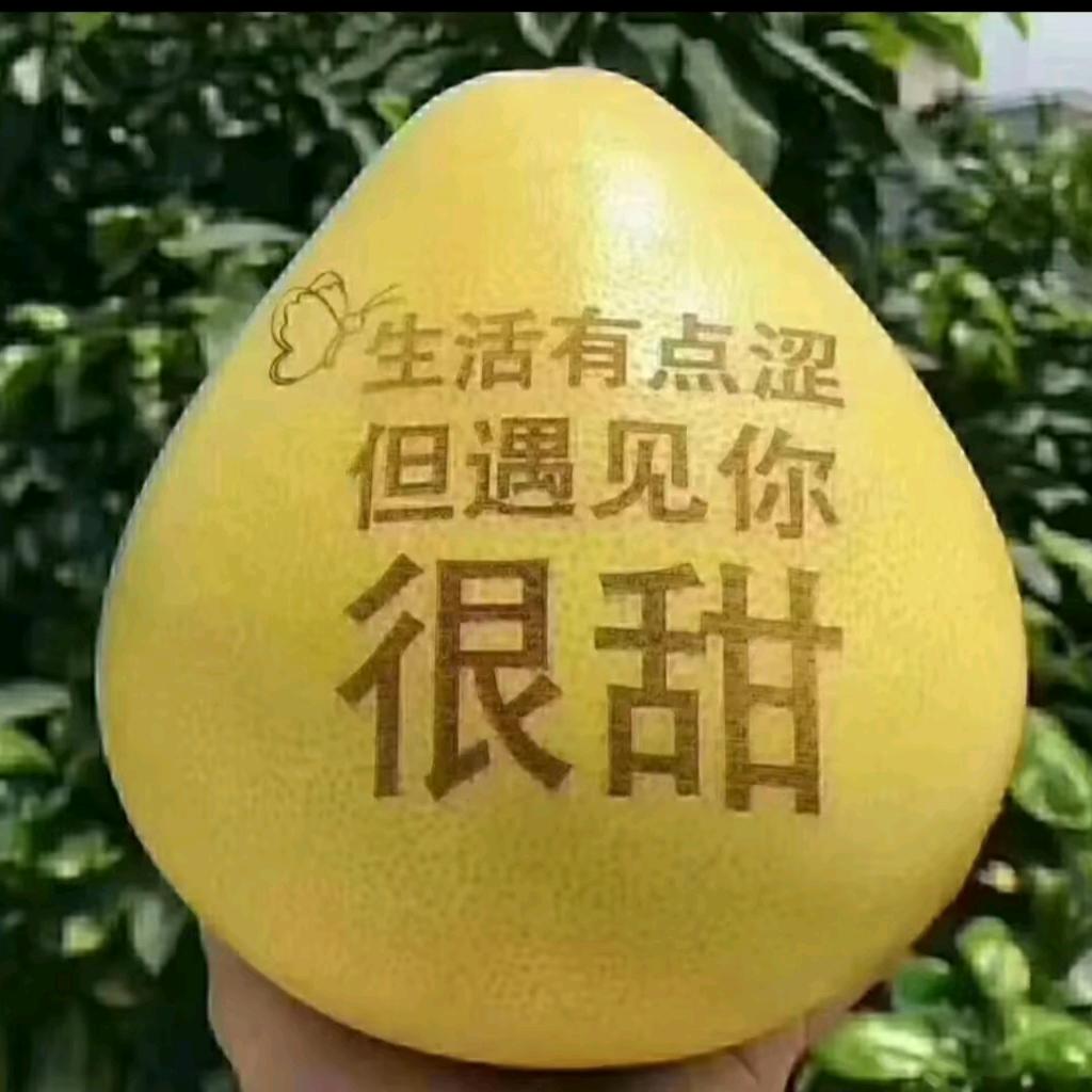 锦绣&辉煌
