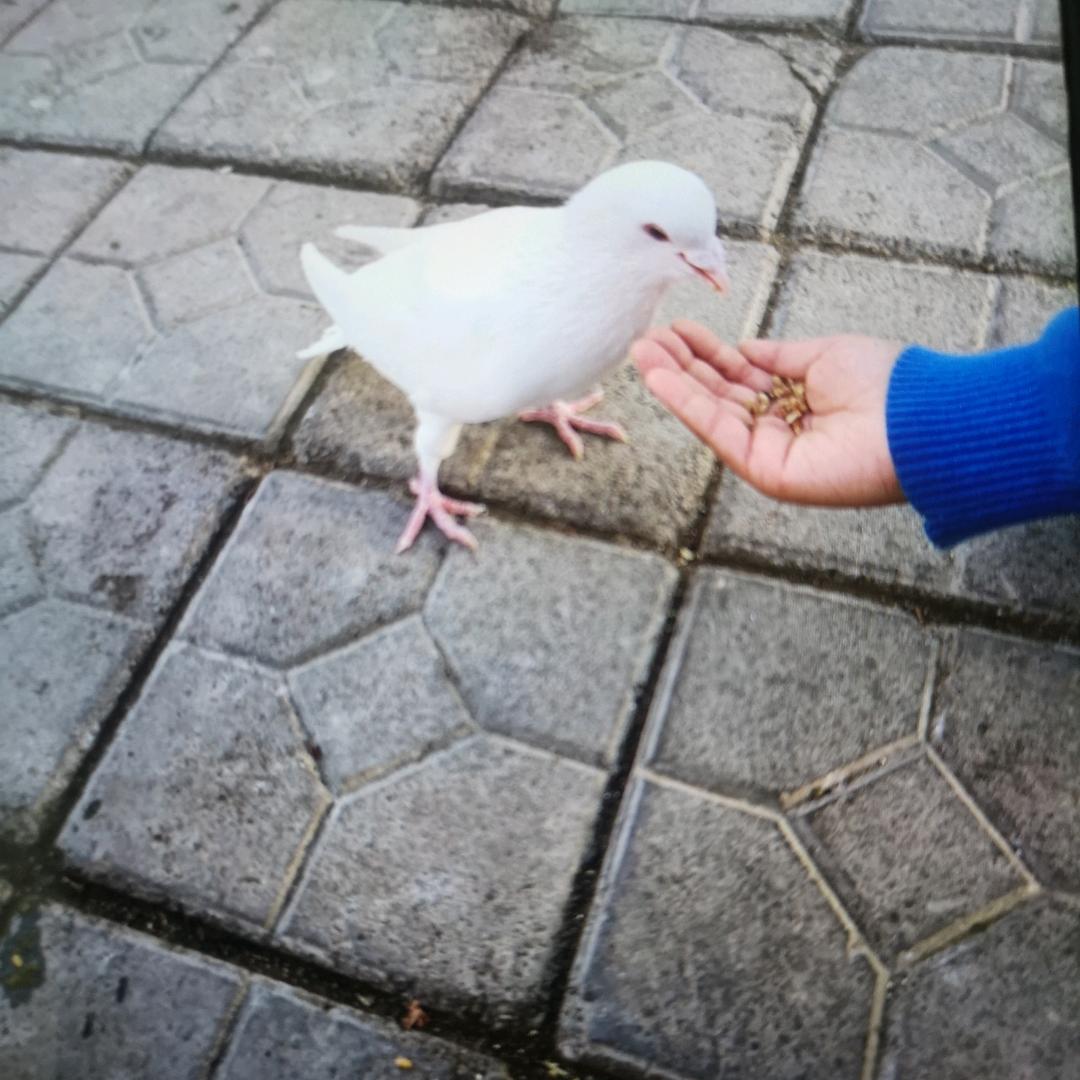 南山康泉生态农庄