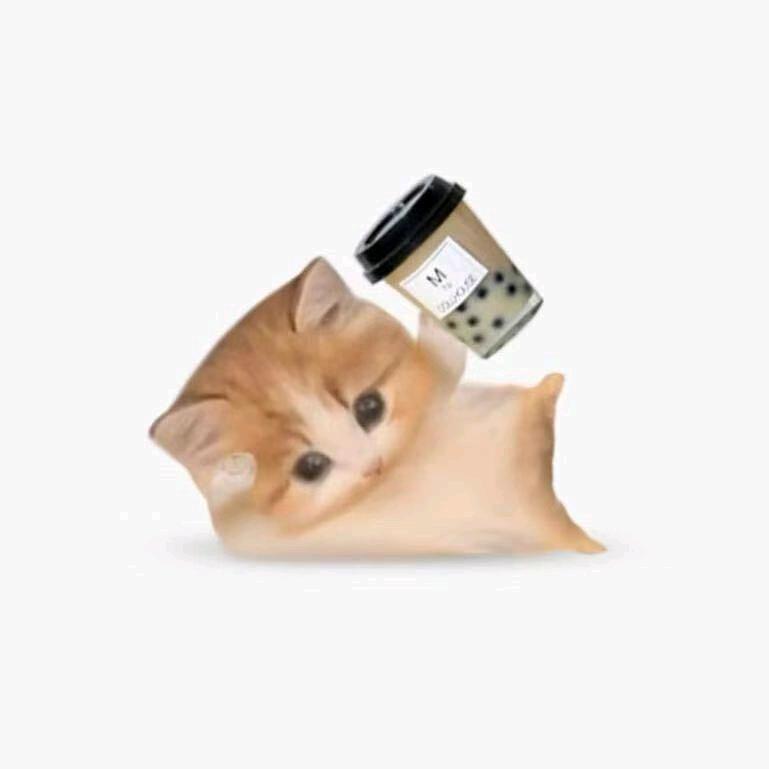 枣点碎惹