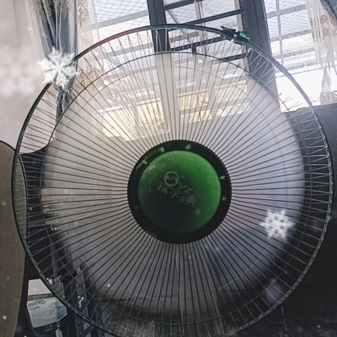 夏天的雪
