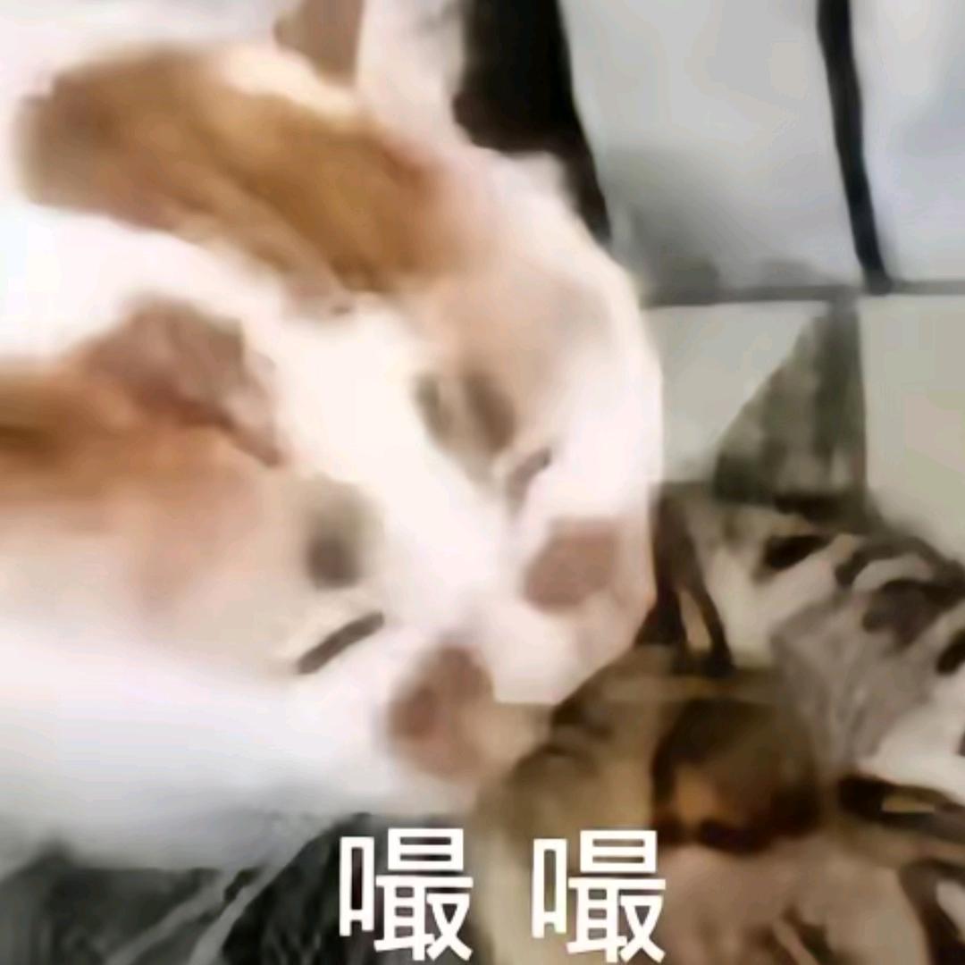 深海鱼ovo