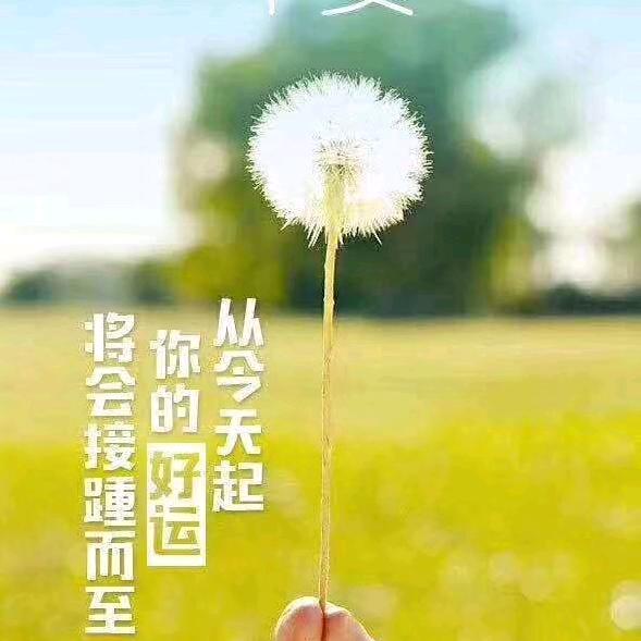 暖阳∽∽如初
