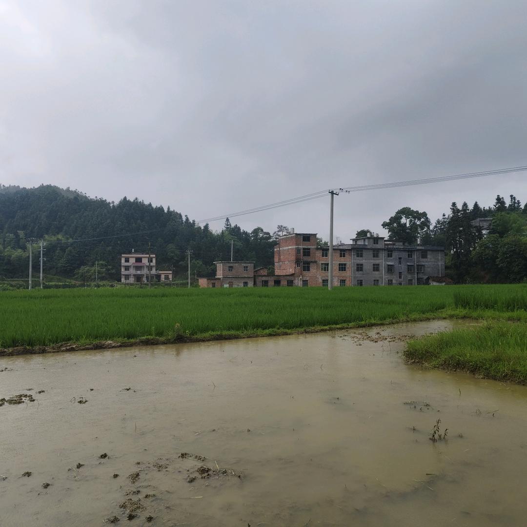 小肥羊ᥫᩣ
