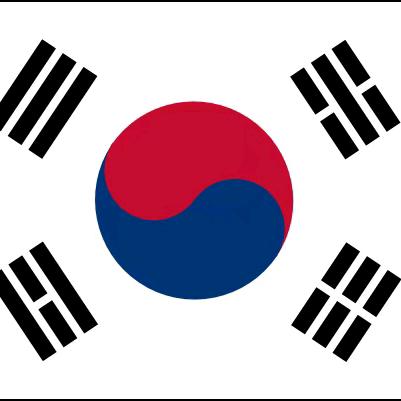 韩国第一师空军跳伞兵101师