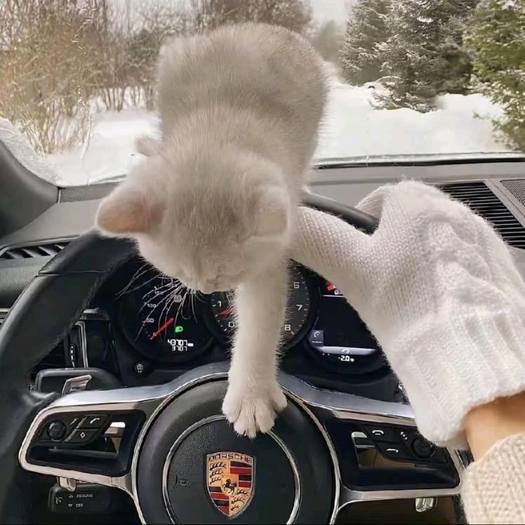 A A A商务接待💃