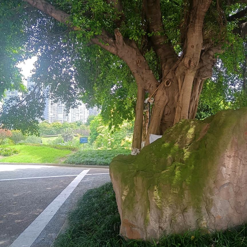 乡村铁匠铺（店）