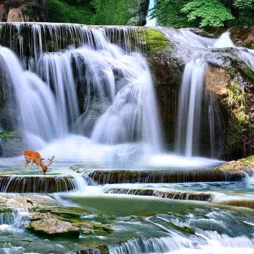 万水千山走遍
