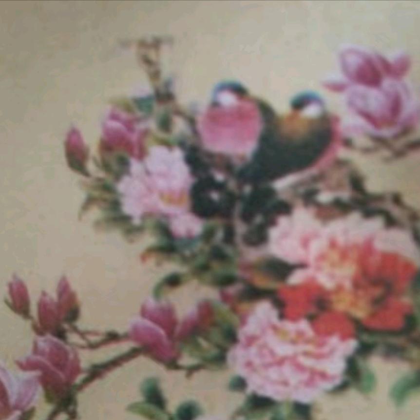 浩然正气，3123，开心快乐