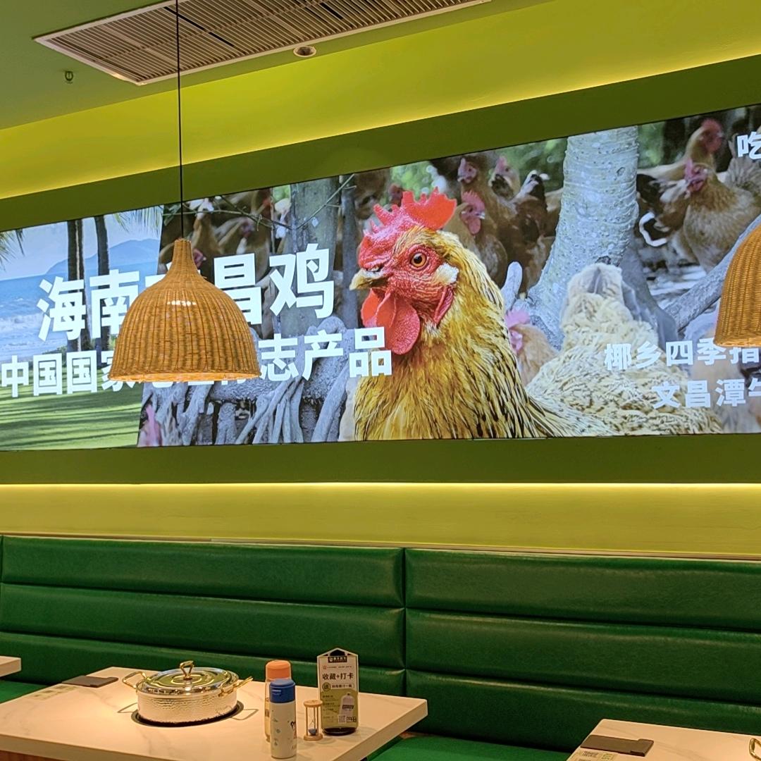 椰乡四季，许许🐯