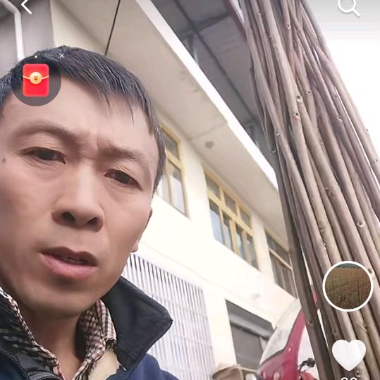 基地苗木种植户