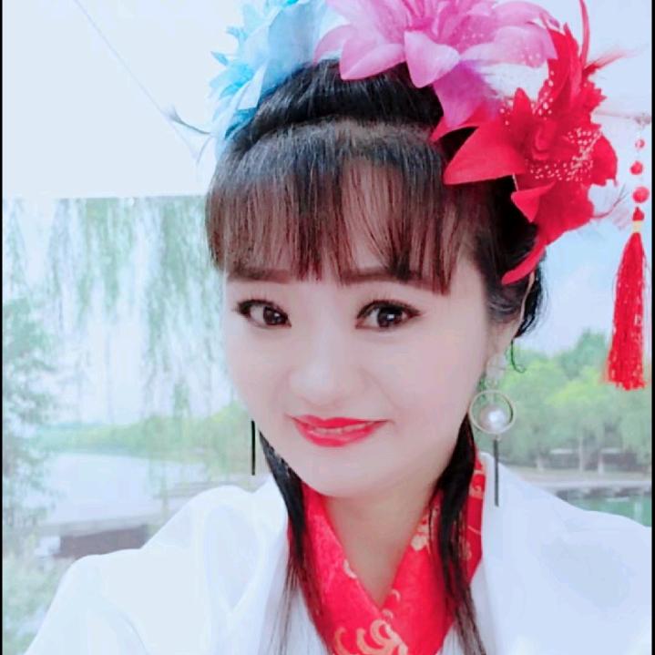 舞妹花