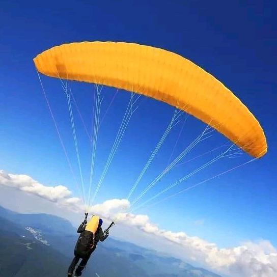 我刷你的的狒狒飞