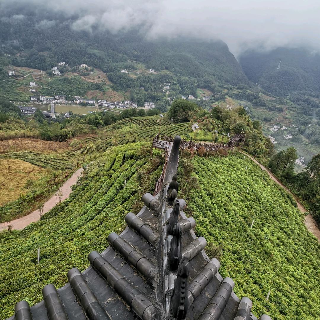 爱跳舞的英子姐