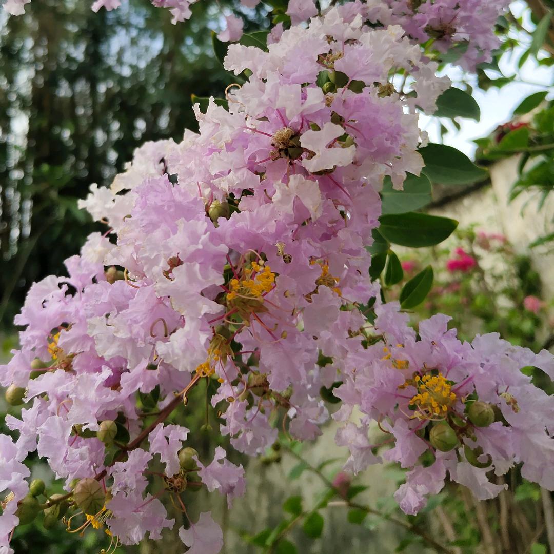 我不在是我又还是我