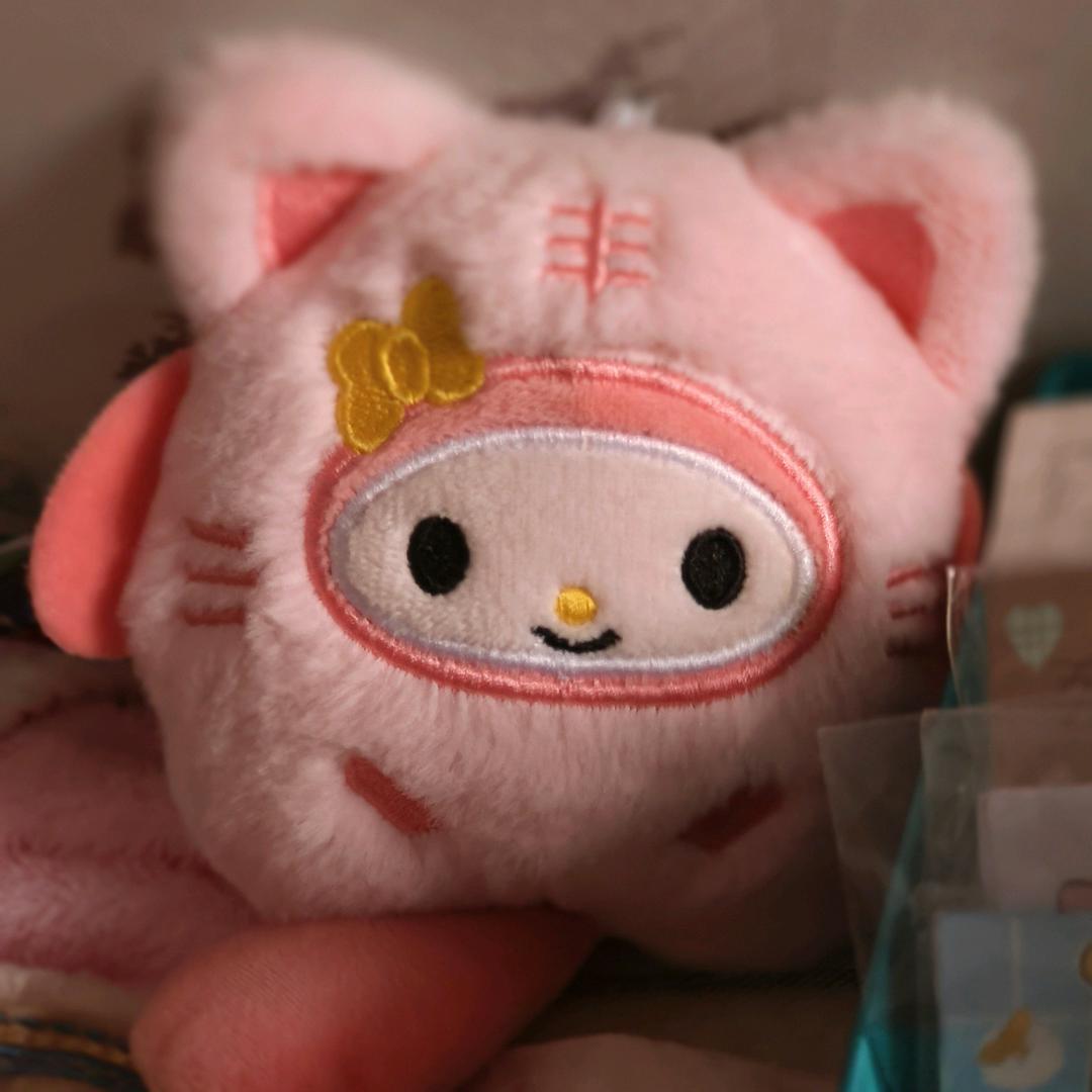 琴