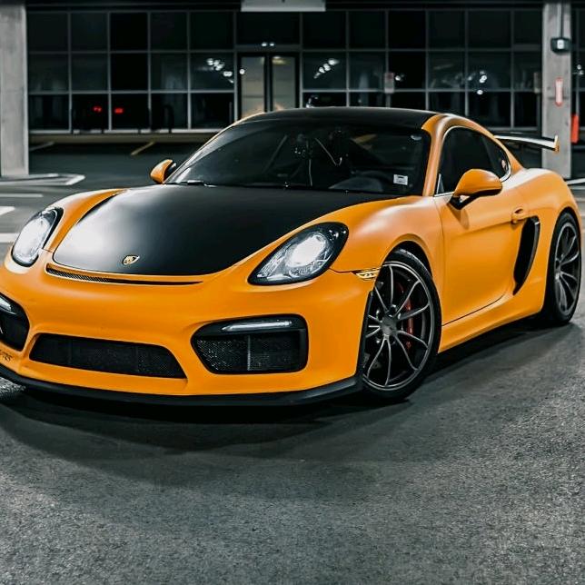 垃货(上山修炼了 )