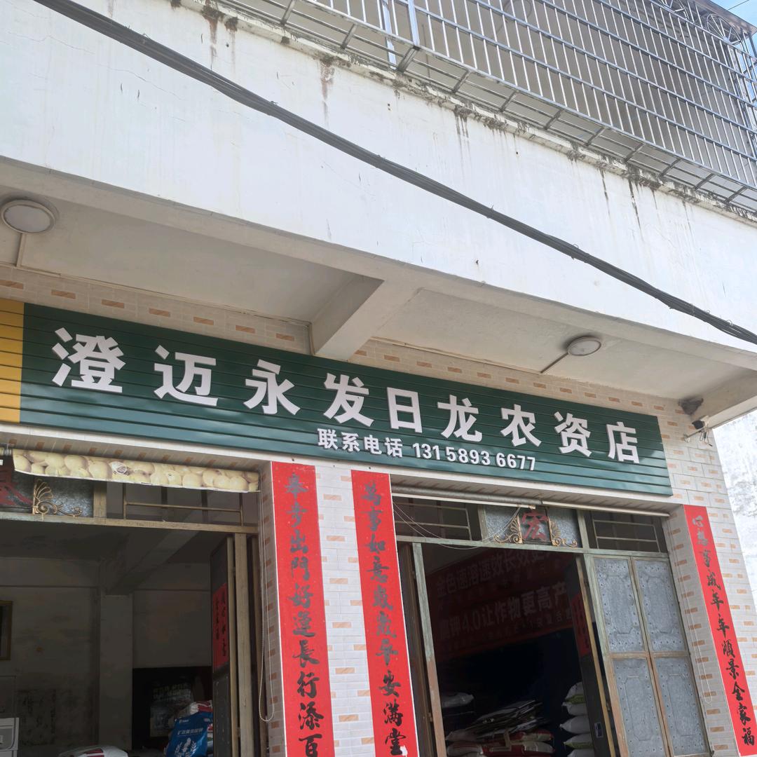 澄迈永发镇日龙农资