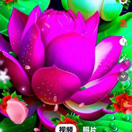 用户7374160527143