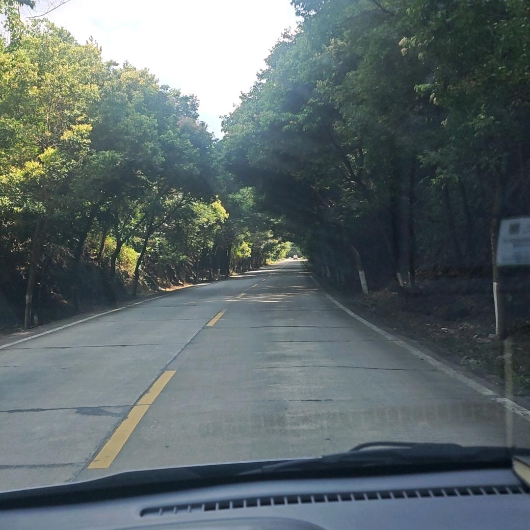 风中