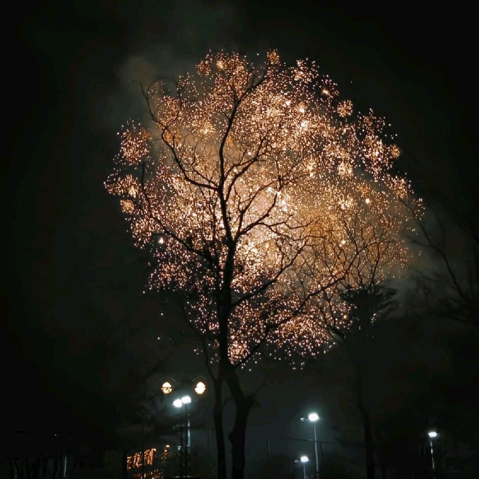 卖水果的小刘😊