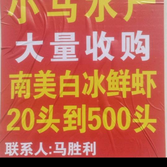 小马水产