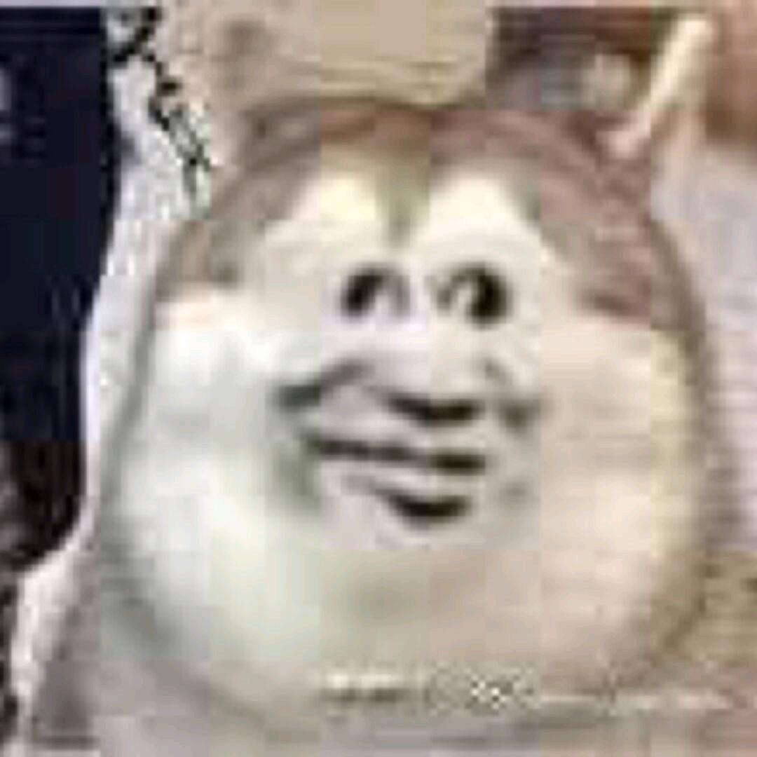 呆杰