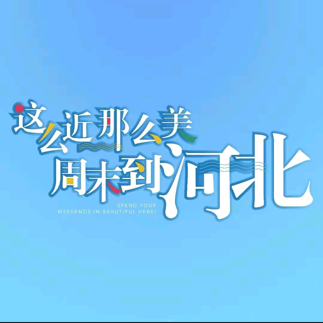 @一起向未来阳阳