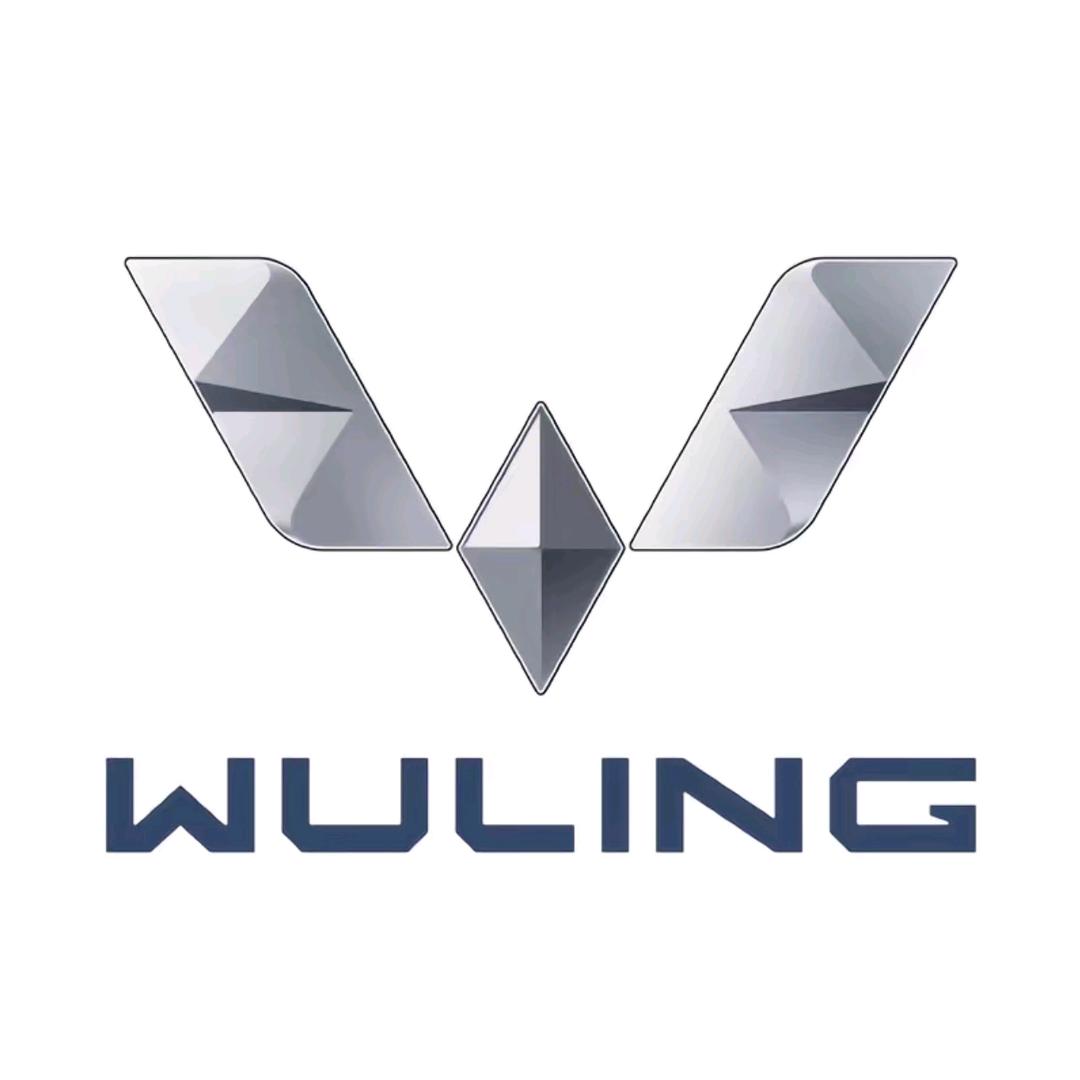 五菱汽车·深圳·陈