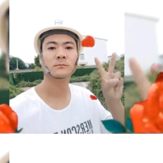 山月不知秋