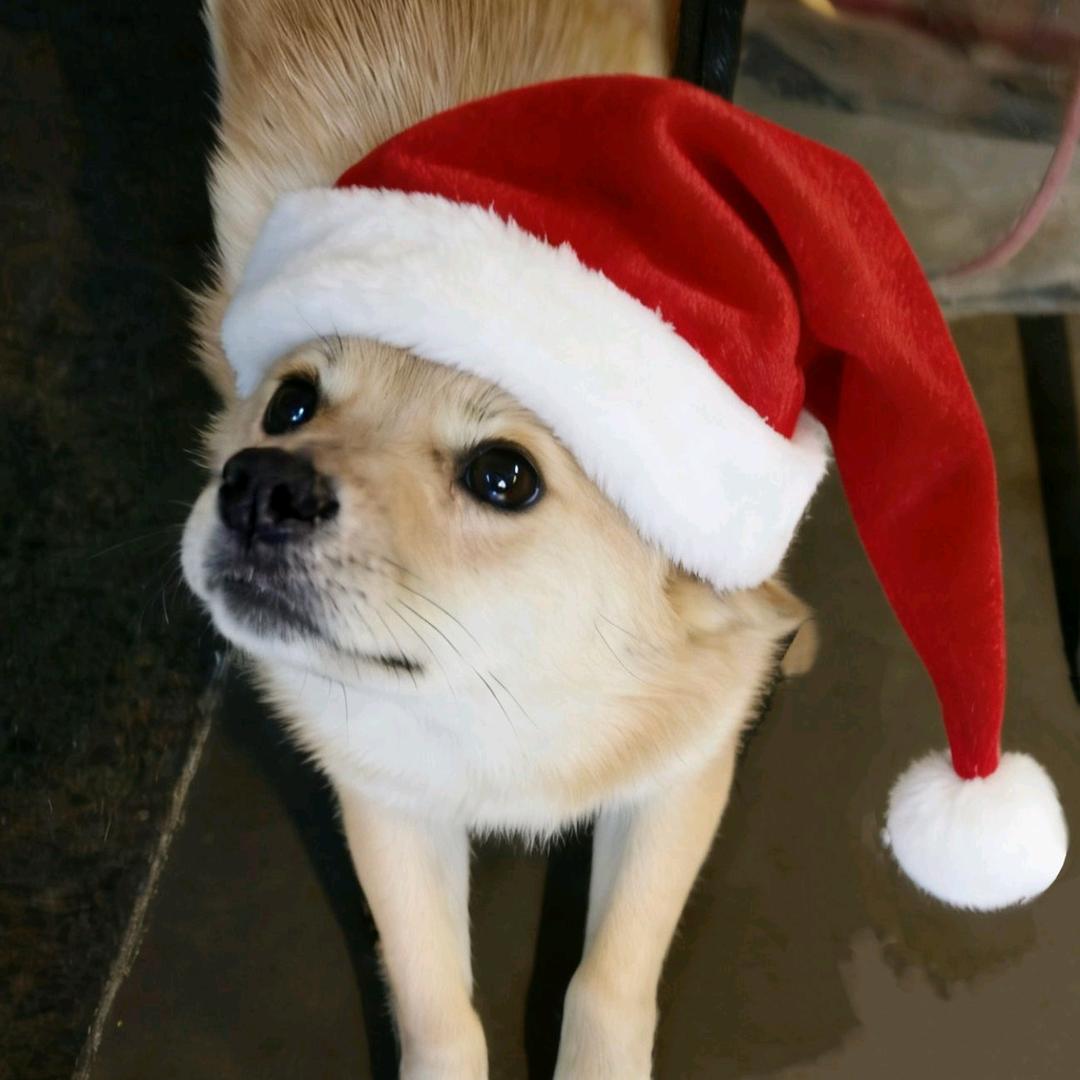 𝐦𝐞𝐦𝐨𝐫𝐲