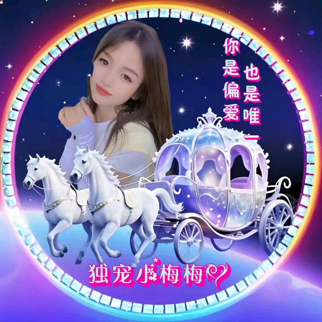 踏雪寻梅