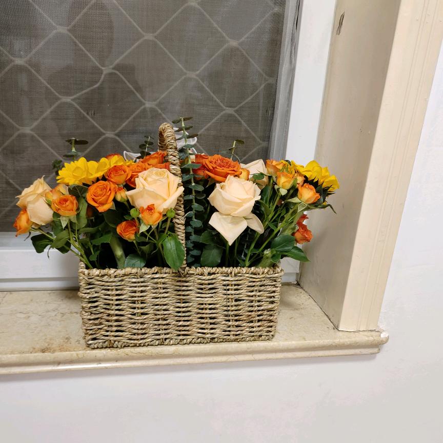 🌹🌻🍀