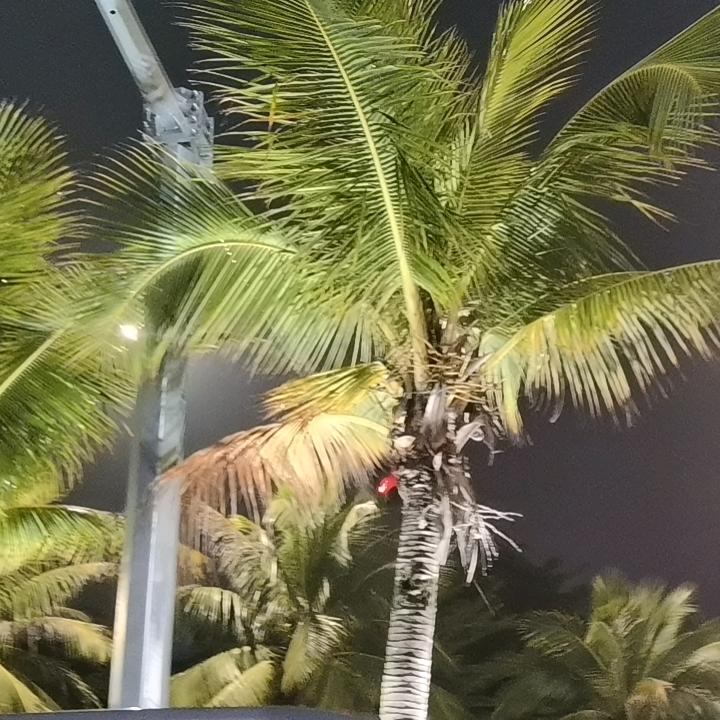 爱吐泡泡