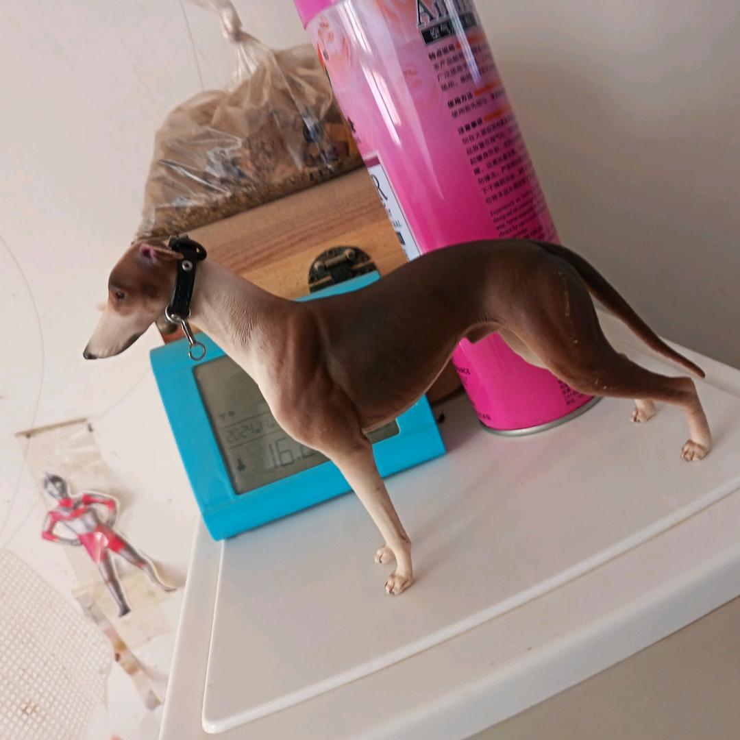 王飞