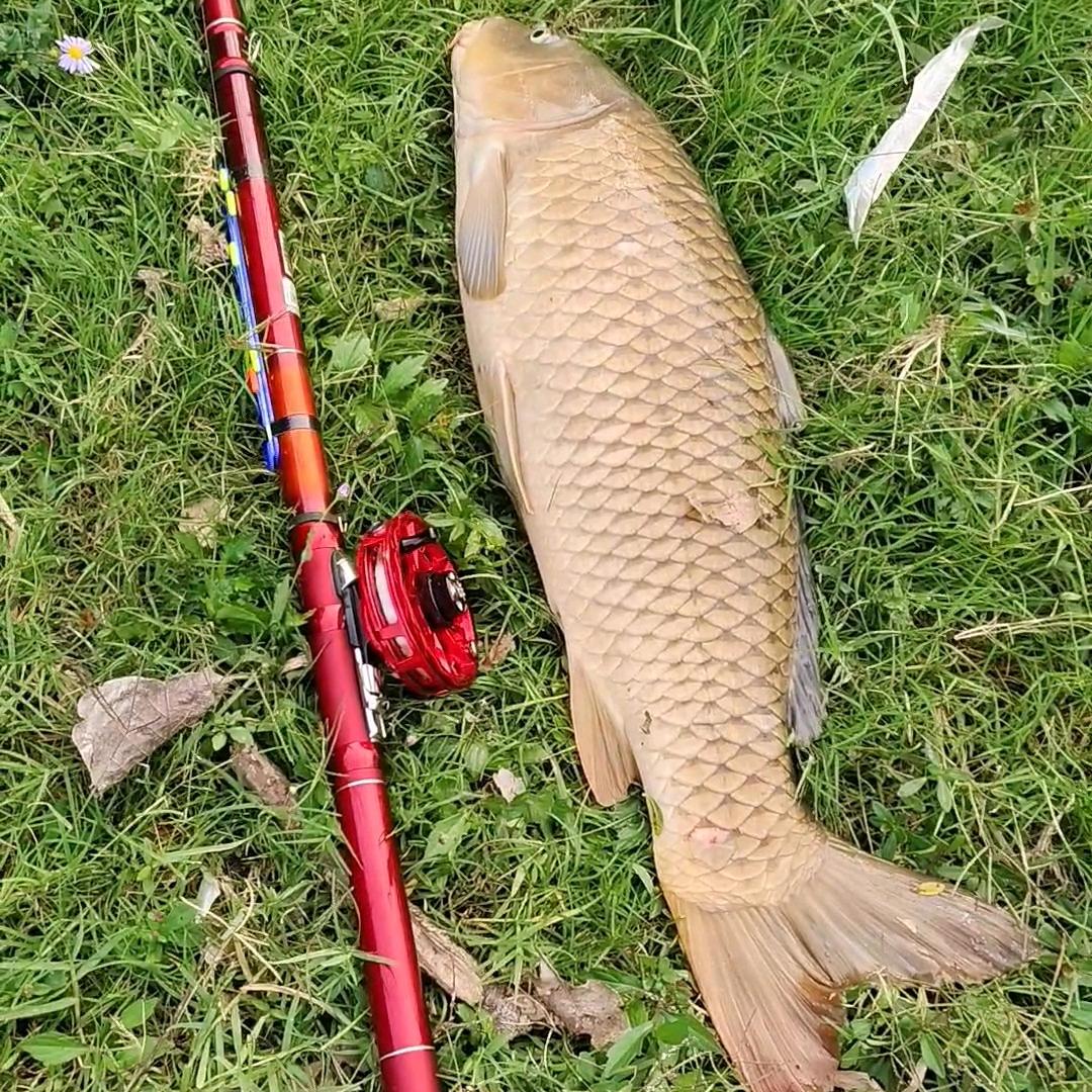 🏊【波～哥】🎣