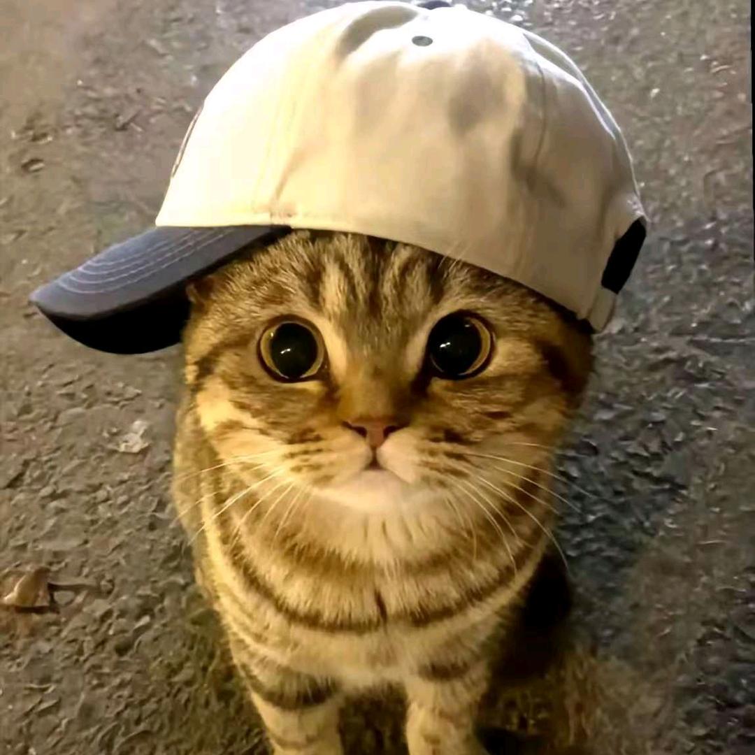 多金